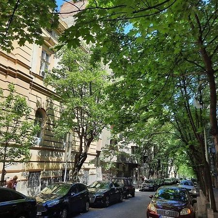 Apartment 51 - Bright, Spacious, Lux 1 Bedroom In The City Center - Stari Grad เบลเกรด ภายนอก รูปภาพ