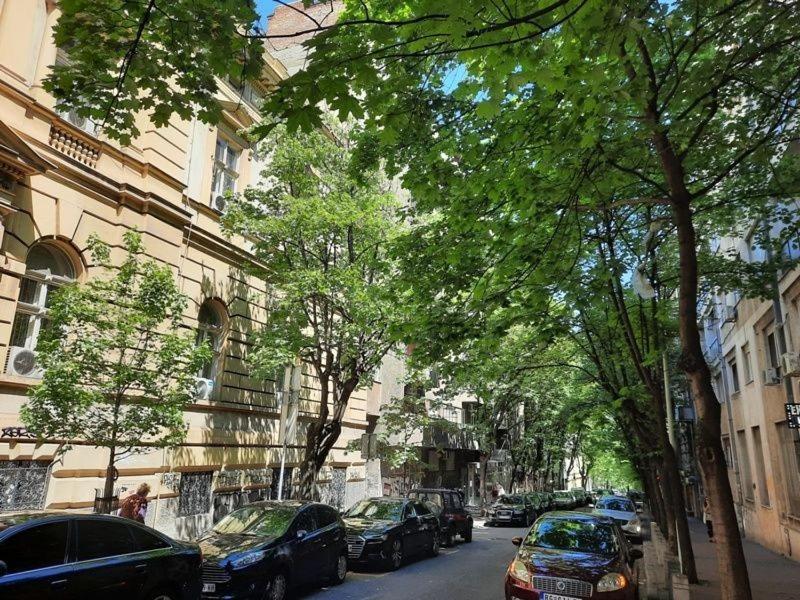Apartment 51 - Bright, Spacious, Lux 1 Bedroom In The City Center - Stari Grad เบลเกรด ภายนอก รูปภาพ