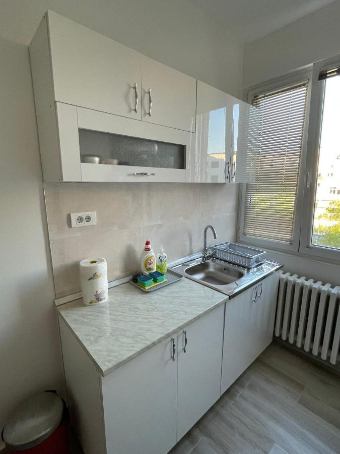 Apartment 51 - Bright, Spacious, Lux 1 Bedroom In The City Center - Stari Grad เบลเกรด ภายนอก รูปภาพ